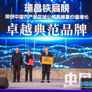 瑞昌铁肩膀荣获中国农产品区域公用品牌高价值增长卓越典范品牌