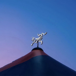 持续飞跃的一年，始祖鸟做对了什么？