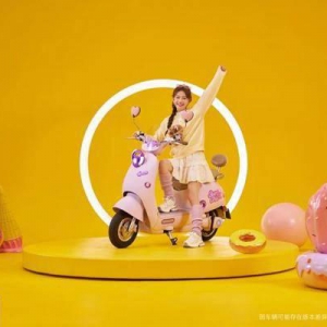 “颜值担当”到“安全卫士”：新日甜心的爆款养成记