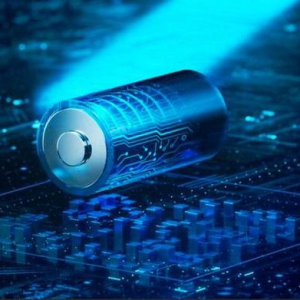 豹力狮加盟平台超低门槛，轻松入局