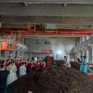 粽香与酒韵交织 肆拾玖坊端午制曲封坛大典盛大启幕