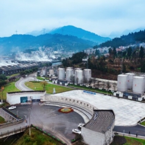 从产能到文化：川酒集团以原酒基因库重构白酒新消费逻辑