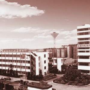 莆田 —— 一座“啤酒之城”