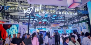 谢商华副主席出席  第七届中国—阿拉伯国家博览会