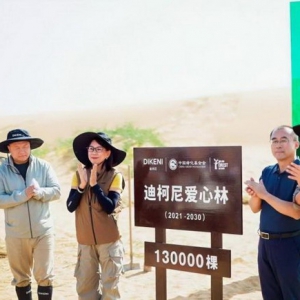 沙漠里的坚守，一场关于DIKENI迪柯尼与自然的长期主义对话