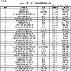 2025中国品牌价值100强揭晓