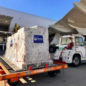 东航高效保障第八届进博会首票空运展品抵沪