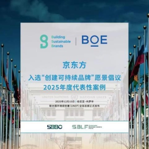 BOE（京东方）亮相联合国可持续企业家论坛 共推全球“可持续品牌标准”建设