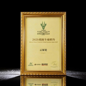 云深处科技荣膺2025胡润全球瞪羚企业，以硬核创新领跑具身智能赛道